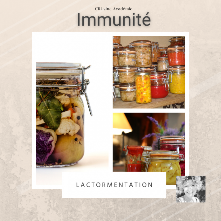 La Lacto-Fermentation - La Lactofermentation 768x768