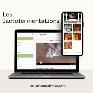 Lactofermentation des aliments : Guide pour fermenter vos légumes naturellement